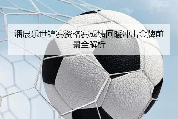 潘展乐世锦赛资格赛成绩回暖冲击金牌前景全解析