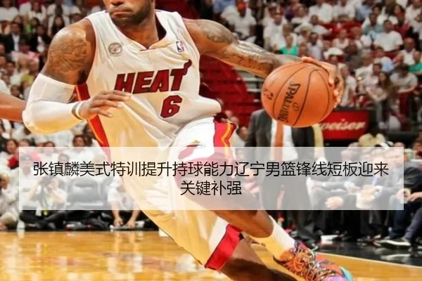 张镇麟美式特训提升持球能力辽宁男篮锋线短板迎来关键补强