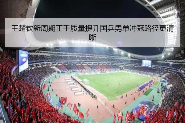 王楚钦新周期正手质量提升国乒男单冲冠路径更清晰